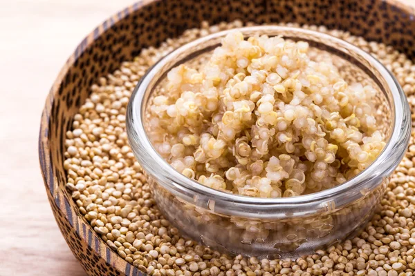 Quinoa organik tohum