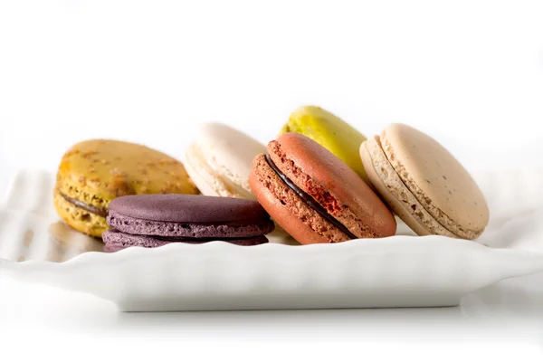 Macaron or Gerber — Stock Photo, Image