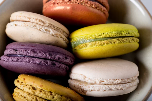 Macaron or Gerber — Stock Photo, Image