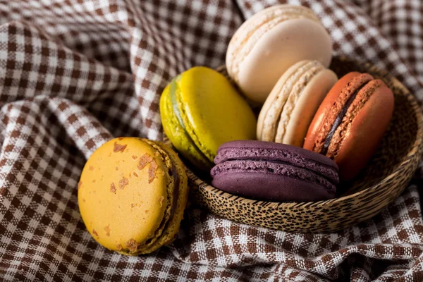 Macaron of gerber — Stockfoto