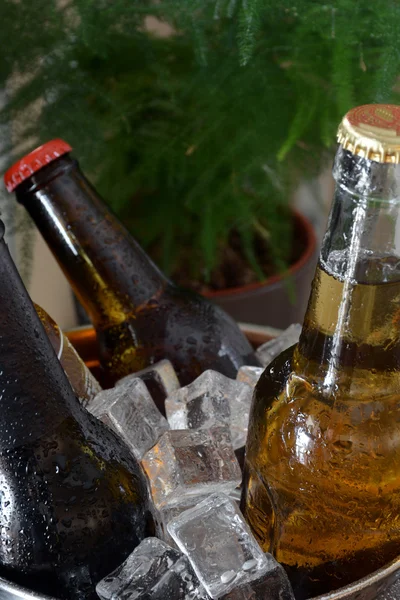 Cervejas diferentes em uma mesa de madeira . — Fotografia de Stock