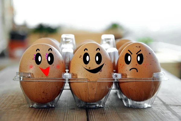 Huevos metidos en su caja — Foto de Stock