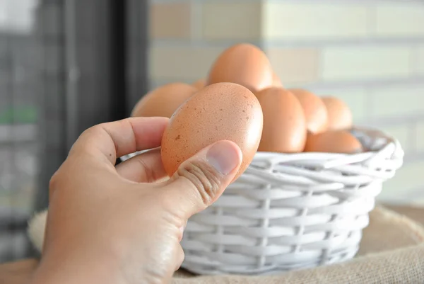 Hand hebt ein Korb Ei auf — Stockfoto