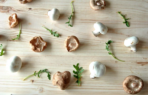 Foto aérea de shitake com cogumelos — Fotografia de Stock