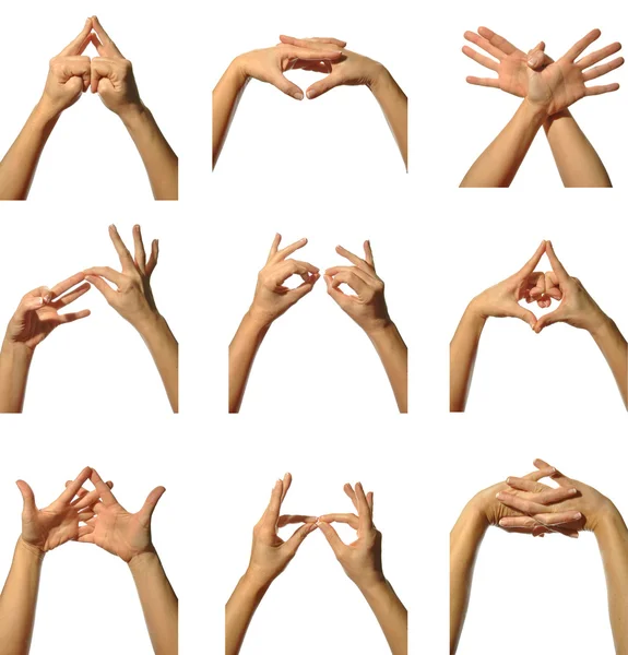 Collage of various mudras — Stock Photo, Image