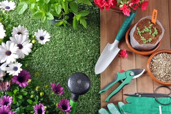 Садово-городній інструмент — стокове фото