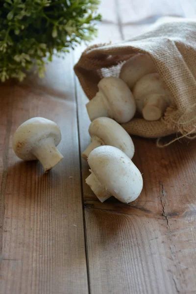 Olika svampar på ett träbord — Stockfoto