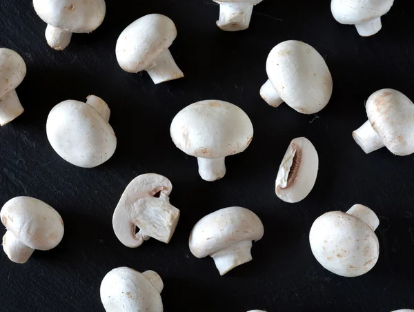 MUSHROOMS VÁRIOS colocados sobre uma mesa de madeira — Fotografia de Stock