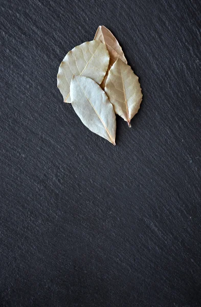 Laurel em uma mesa de ardósia preta — Fotografia de Stock