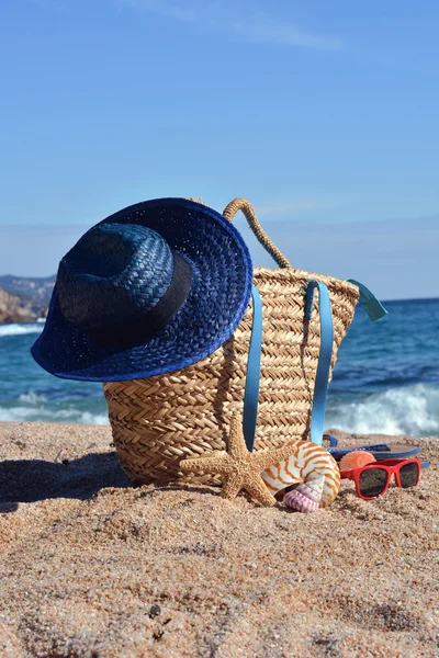 Sac de plage avec un livre et un téléphone — Photo