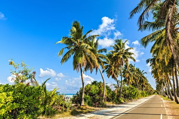 Tropical road, Maldives — Stock Photo, Image