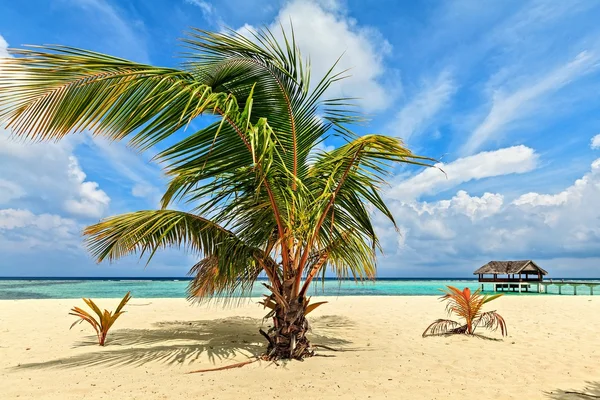 Praia tropical no Oceano Índico — Fotografia de Stock