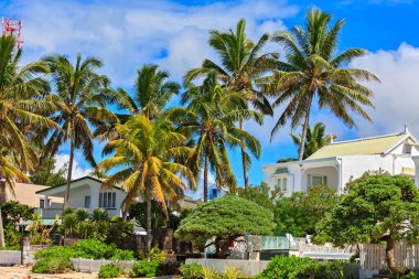 Mauritius adında tropik bir otelin manzarası