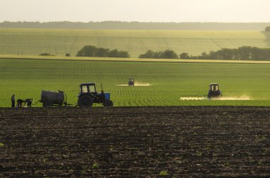 Traktörler püskürtülür mısır tarlası