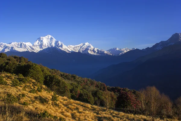Cordillera Annapurna en Nepal — Foto de Stock