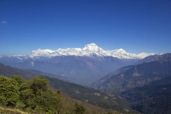 Masywu Dhaulagiri w Nepalu — Zdjęcie stockowe