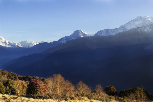 Annapurna zakres rano — Zdjęcie stockowe