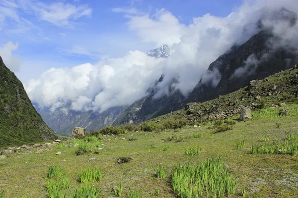 Langtang valley trek — Stockfoto