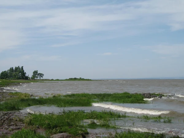 Ligne de rivage de rivière — Photo