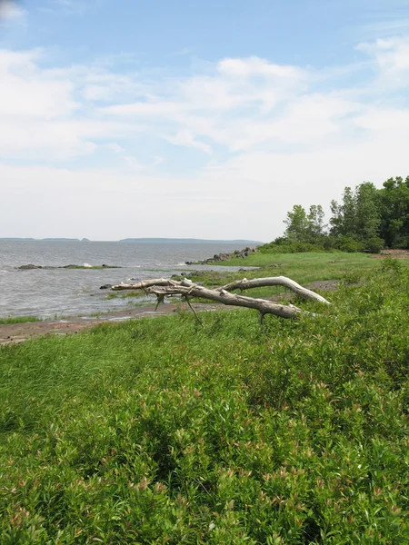 Ligne de rivage de rivière — Photo