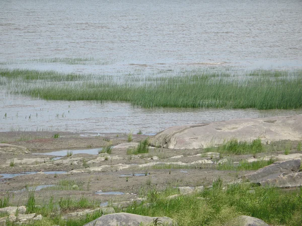 Ligne de rivage de rivière — Photo