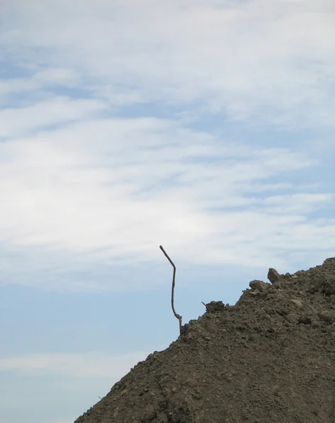 Uitstekende Stick in vuil Hill — Stockfoto