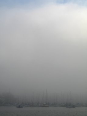 Sisli okyanus günü