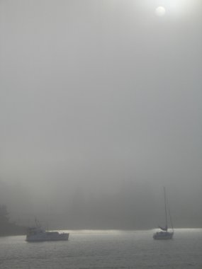 Sisli okyanus günü