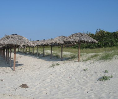 Beach Palapas