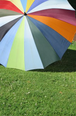 şemsiye çimenlerin üzerinde