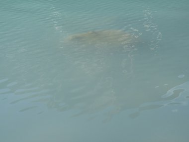 Yeşil Göl batık kayalarda