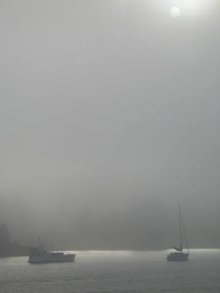 有雾的海洋日 — 图库照片