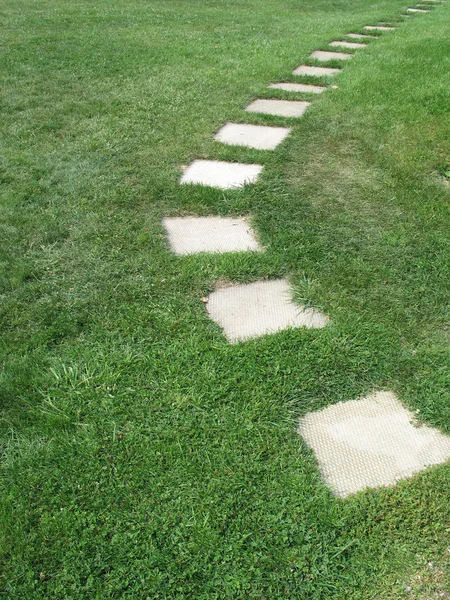 Тротуарні плити у траві — стокове фото