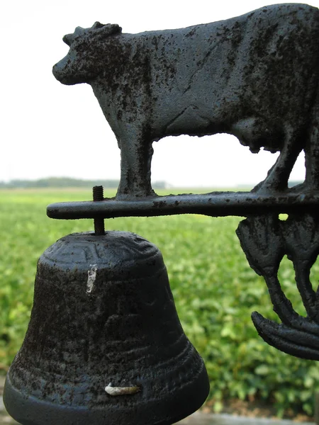牛とベル飾り — ストック写真