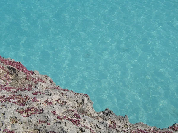 Okraji útesu Rocky oceánu — Stock fotografie