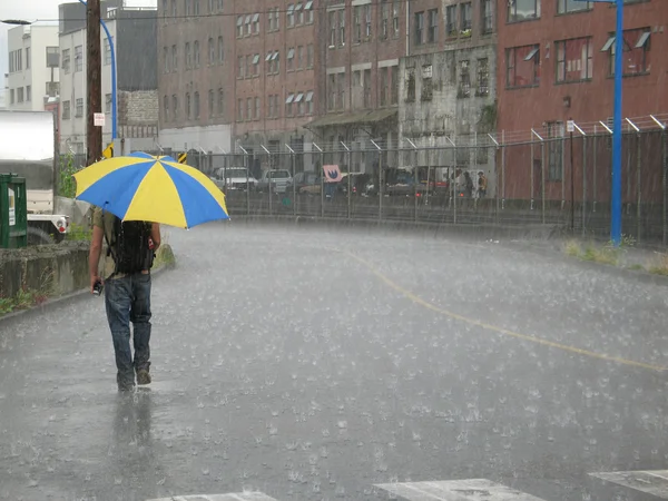 Regenschirmwanderung im Regen — Stockfoto