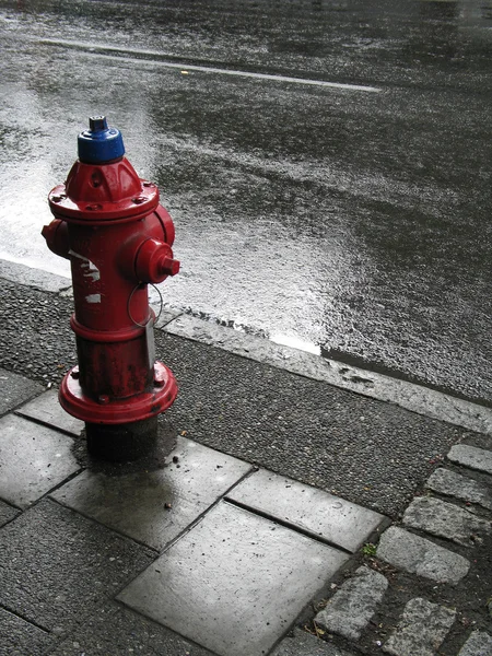 消火栓在雨中 — 图库照片
