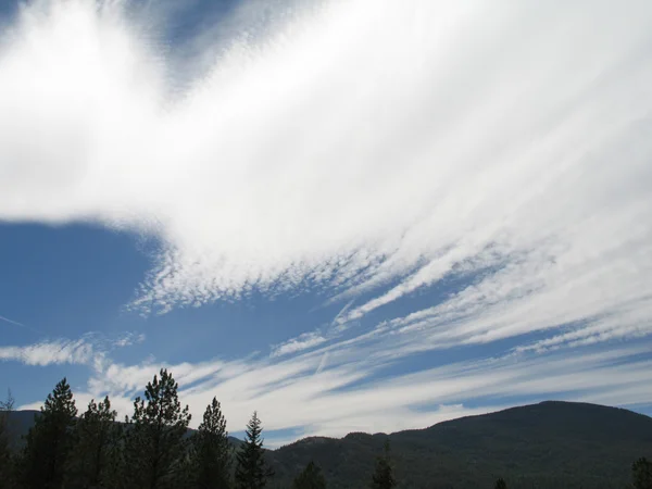 Contreforts bordés d'arbres et nuages sauvages — Photo