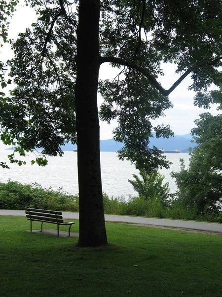 Ağacın altında park bankında — Stok fotoğraf