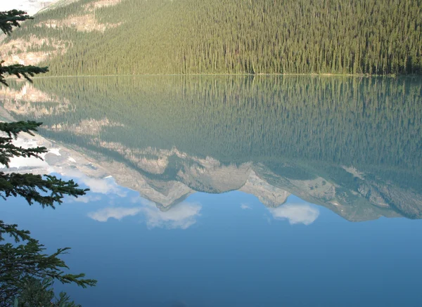 Evergreen Tree Tips and Mountain Lake — Stock Photo, Image