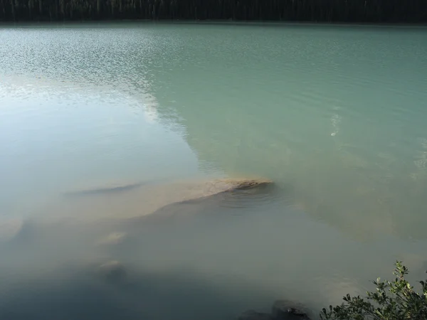 Βυθισμένη βράχοι στη λίμνη πράσινο — Φωτογραφία Αρχείου