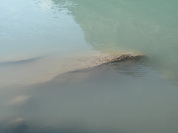 Rochers submergés dans Green Lake — Photo