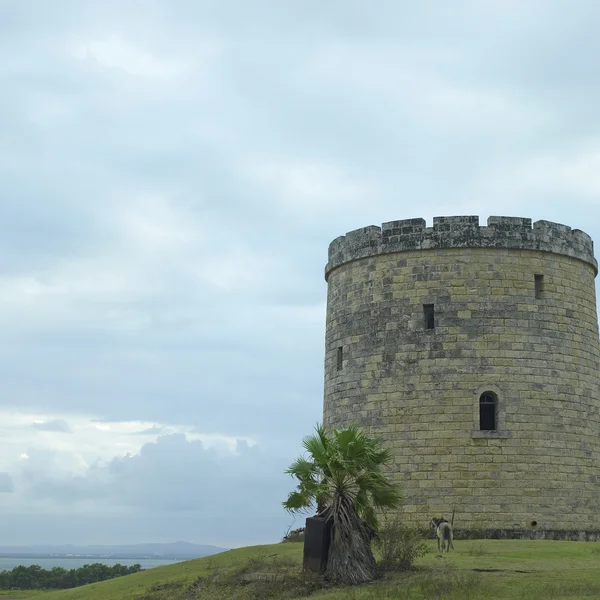 Slott på en kulle — Stockfoto