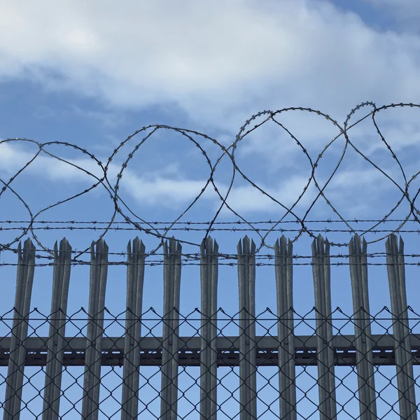 Barbed wire fence — Stock Photo, Image