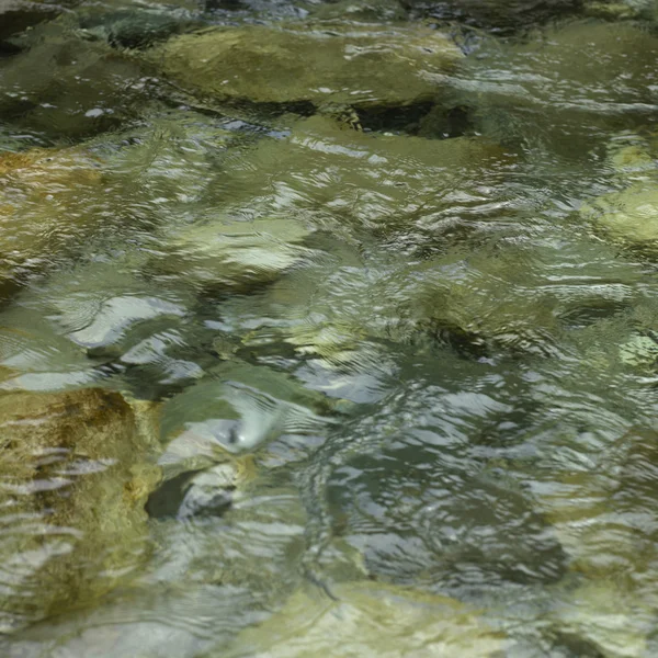 Agua del río — Foto de Stock