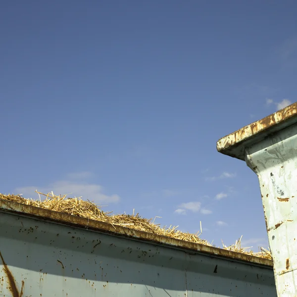 Behälter mit Heu — Stockfoto