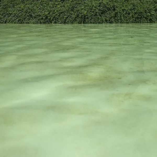 Água verde — Fotografia de Stock