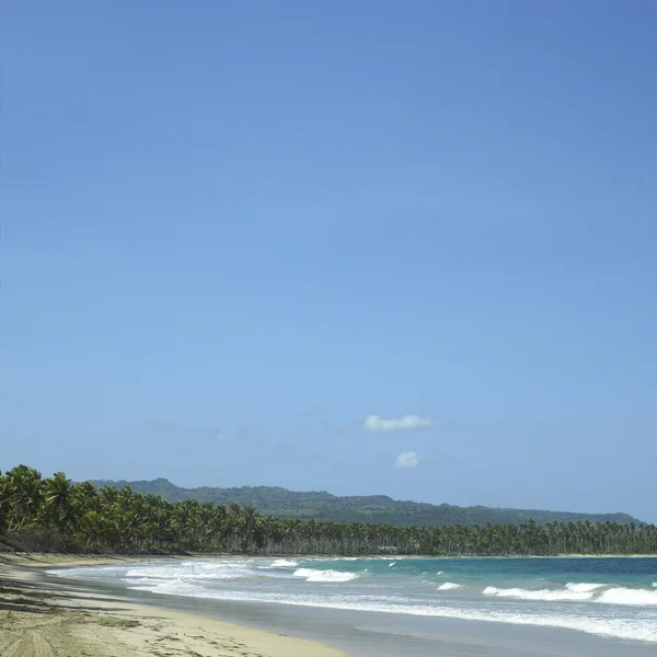 Tropical island — Stock Photo, Image