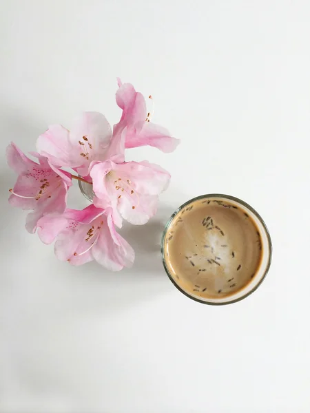 Lavanta latte — Stok fotoğraf
