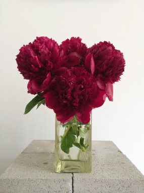 Kırmızı peonies buket